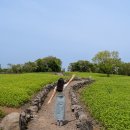 또 와흘 이미지