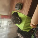 군포로595번길(편도) | [중앙아시아 기행] 4. 비슈케크 알라 아르차 국립공원 버스로 가기 / 비슈케크 → 보콘바예보 마슈르트...