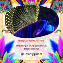 41190-01-07-310 | [용인] 반짝이는 빛과 신나는 음악이 만드는 환상의 문라이트 퍼레이드 에버랜드 야간 개장 꿀팁