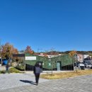 죽녹원 | 전남 담양 여행 가볼만한곳 [죽녹원] 방문후기+주차장꿀팁