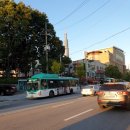 수원-1472 이미지