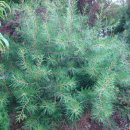 하늘농장2 이미지