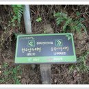 도계주유소 Daum카페