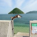 팔월 이미지