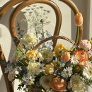 봉곡동195 이미지