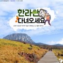 한라여행사 - 종로구 자하문로 252 | 한라여행사