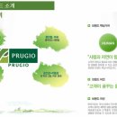 강남-041 이미지
