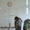 샤샤살롱 지제동삭점 이미지