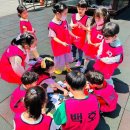 경희대석사태권도 이미지