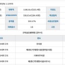 비다펠리즈 이미지