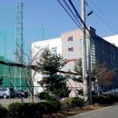 새미스포렉스 이미지