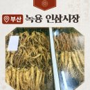 약초와 홍삼 신일건강원 | 부전마켓타운 인삼시장 녹용 내돈내산