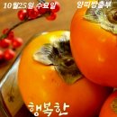 2023.10.25.수요일 양띠방(출부)♤미워말고 잊어버려라♤ 이미지