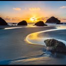 사랑-동행 이미지