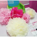 베이비랜드 이미지