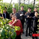 부여원예영농조합법인 뉴시스