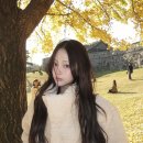 디카민트 네이버블로그