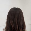 케이브라운(안산중앙점)