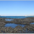 제주 올레길 14코스 이미지