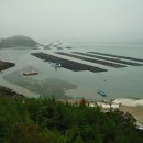 조도대교 이미지