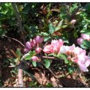 우창목장 이미지