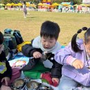 동구사랑어린이집 | [직장어린이집 후기④] 특활 프로그램이 알찬 이유, 도시락 준비 없는 소풍까지!