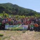 호접치자연팜 이미지