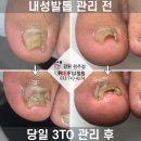 레푸스원주점