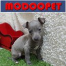 모두와샵 이미지