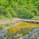 용추공원 화장실 이미지