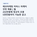 인지커머스 | 에코마케팅 커머스 마케터 인턴 채용 | 월 255만원에 정규직 초봉 5천만원까지 가능한 공고 분석