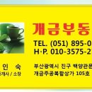 해방공인중개사사무소 이미지