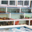 신화수산 이미지