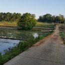 아침농장 이미지