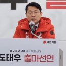 도태우무소속출마 이미지