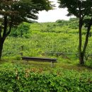 구리시 왕숙체육공원 이미지