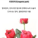 시아홈즈