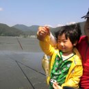 승민애견 네이버블로그