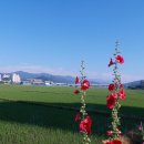 인동건설(주) 이미지