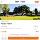 강아지랑 가을캠핑⛺️ (피플앤독 느티캠핑장)
