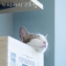 카페마치2호점