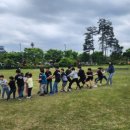 나토얀 태권도 이미지