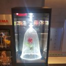 내면도서관 이미지