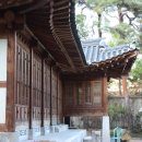 돼지와유황오리 이미지