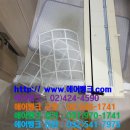 미씨엘로 이미지