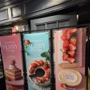 애슐리퀸즈 NC 강서점 | 강서NC 애슐리퀸즈 딸기축제 평일런치 후기!