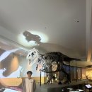 시카고짐(CHICAGO GYM) | 홀로 시카고 여행하기