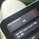 예인체육관 | 고요한