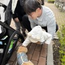 살랑살랑 이미지