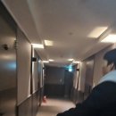 관광호텔 더레드